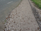 dsc00936-800x600